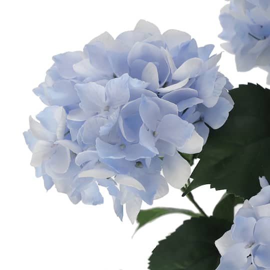 12 Pack: Light Blue Hydrangea Bush by Ashland®